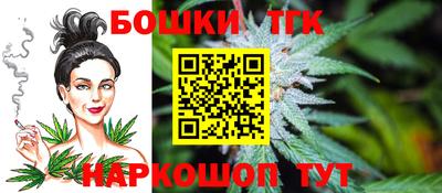 индика Будённовск