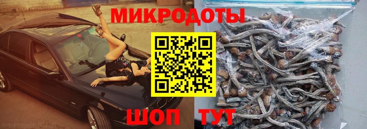 Галлюциногенные грибы мухоморы  Галлюциногенные грибы Psilocybe  Сургут  Вход с VPN 